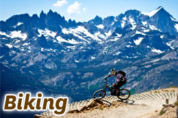 mammoth-biking